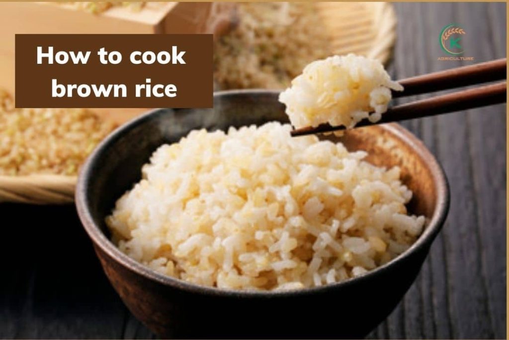 How To Season Brown Rice - 4 Amazing Tips To Spice Up Your Brown Rice ...