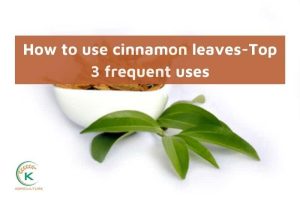 How to use cinnamon leaves-Top 3 frequent uses (6)