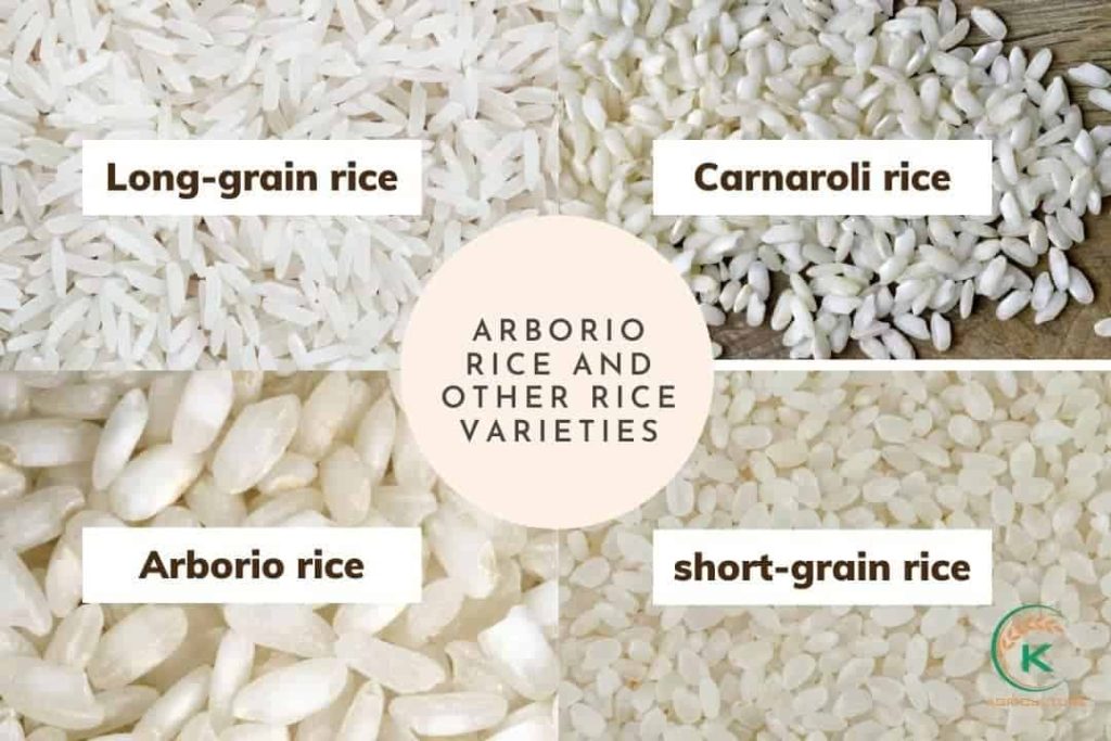 What is arborio rice? Tips to achieving the perfect texture - K-Agriculture