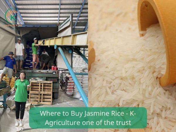 What Is Jasmine Rice? 3 Pro Tips To Identify High-quality Jasmine Rice ...