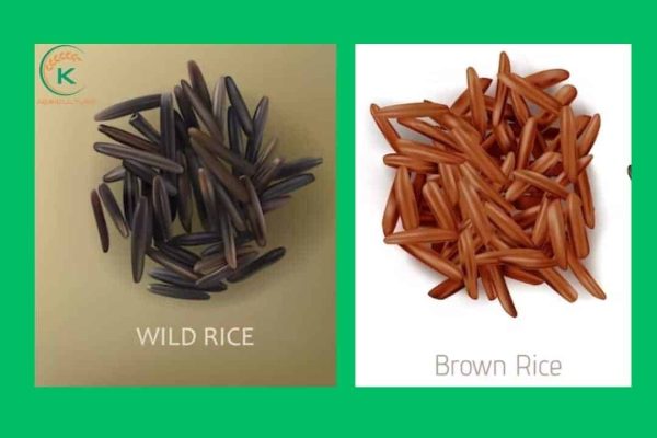What is wild rice?-A comprehensive explaination - K-Agriculture