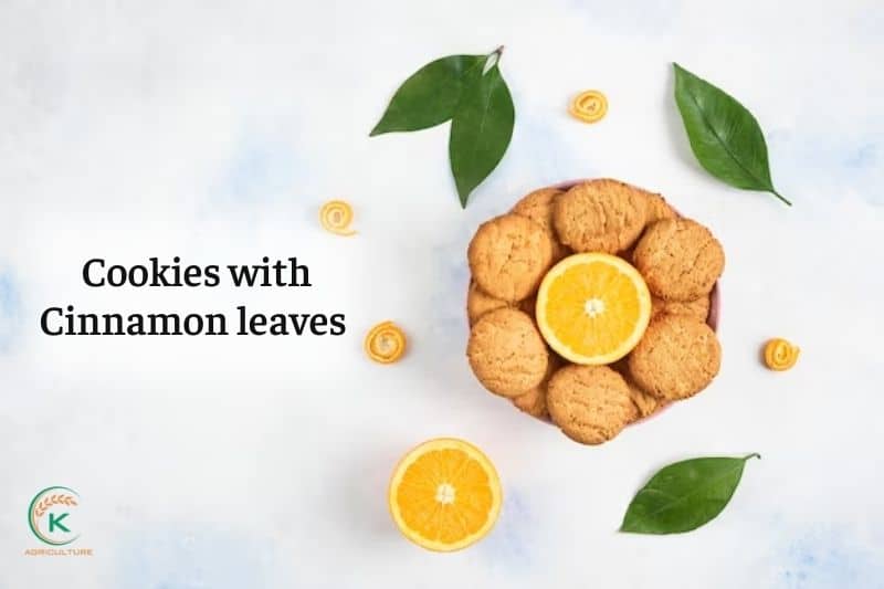Cookies-with-cinnamon-leaves