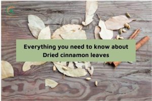 Everything you need to know about Dried cinnamon leaves (2)