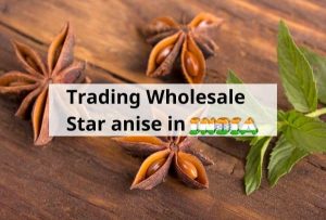 thumbnail star anise in India