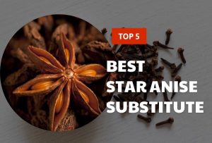 Top 5 Best Star Anise Substitute