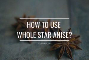 Where To Buy Whole Star Anise?