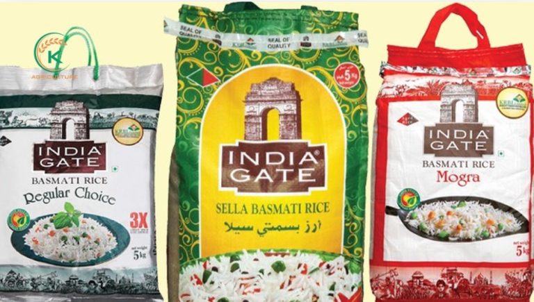 All You Need To Know About Basmati Rice - K-Agriculture