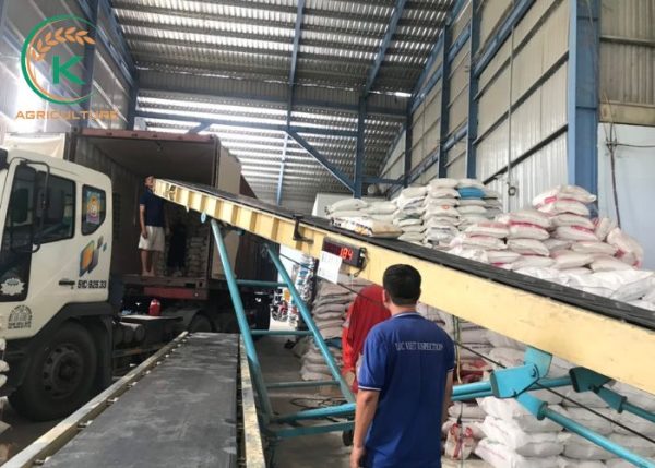 Container Loading Rice Export Japonica rice to the US - January 2024 - K-Agriculture