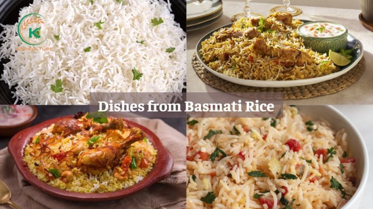 All You Need To Know About Basmati Rice - K-Agriculture