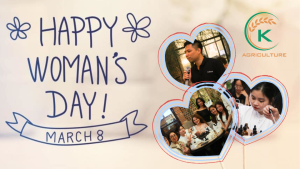 Wholesale prices of Vietnamese cinnamon