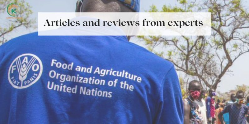 Articles-and-reviews-from-experts