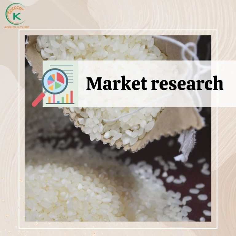 10 Effective Marketing Channels for New Rice Retailers: A DIY Guide ...