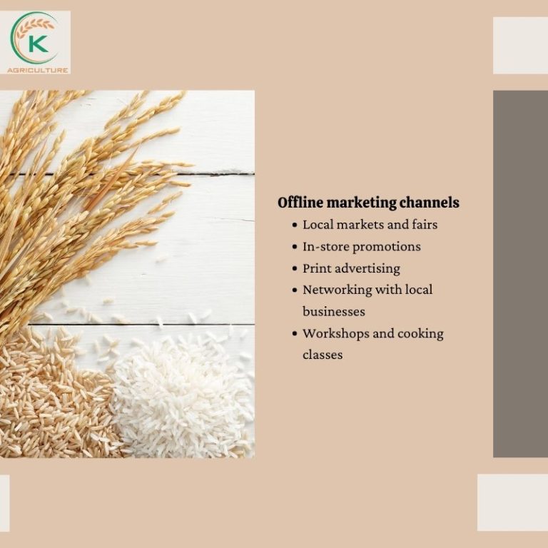 Blog Promoting Rice 10 Effective Marketing Channels for New Rice Retailers: A DIY Guide ...