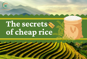 Secrets-of-cheap-rice