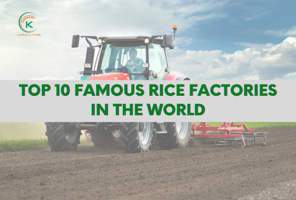 Top 10 Famous Rice Factories In The World